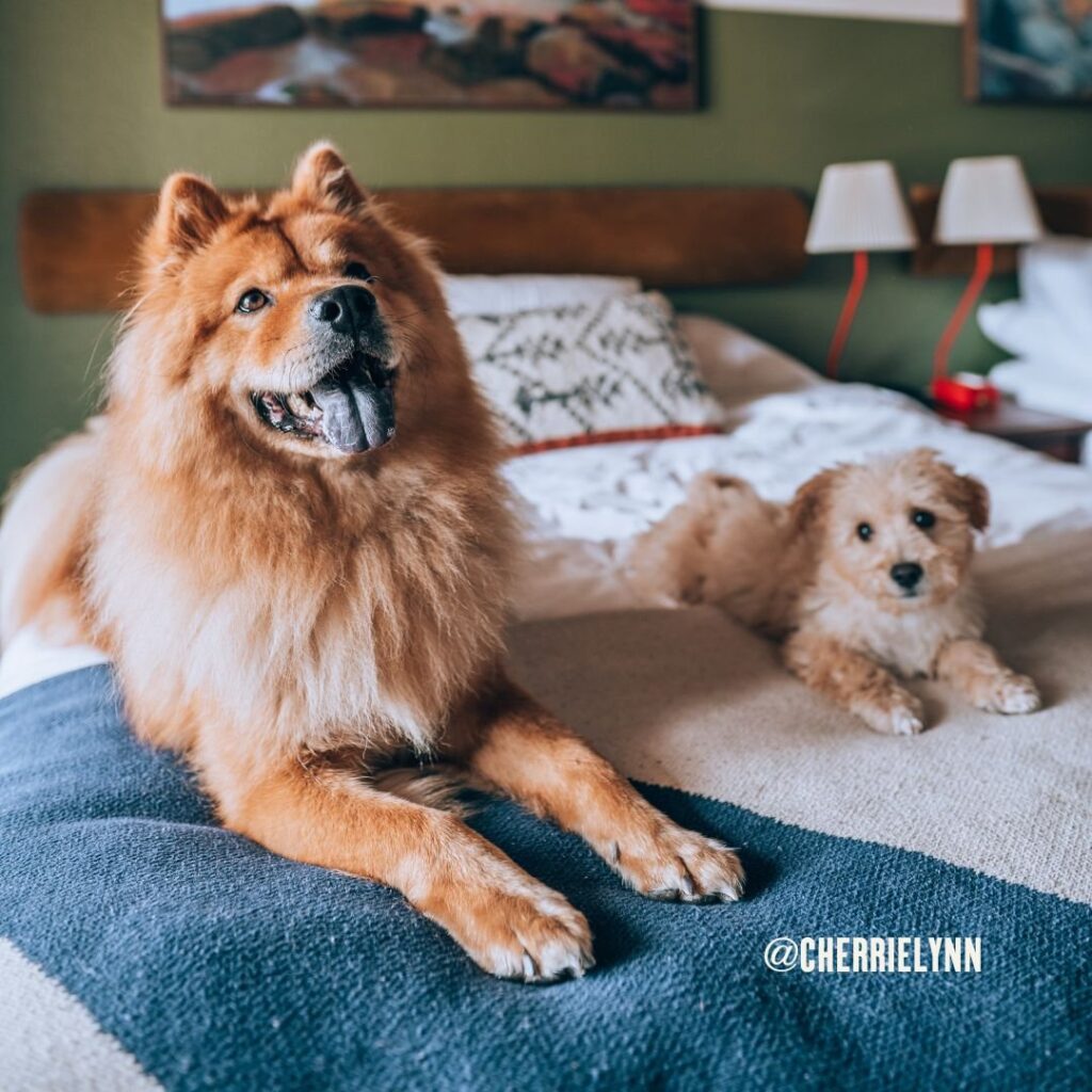 Cherrie Lynn at Station House Inn