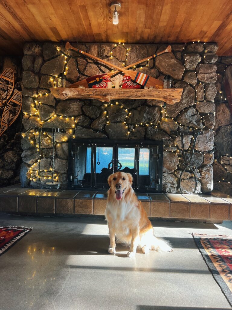 Hans and Lulu with fireplace at Station House Inn