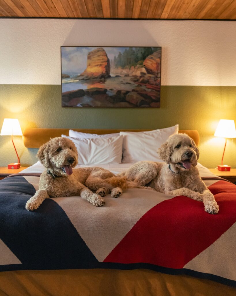 Dog friendly hotel Station House Inn