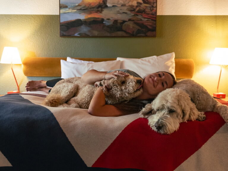 pet friendly tahoe hotel stay - guest on bed with two dogs