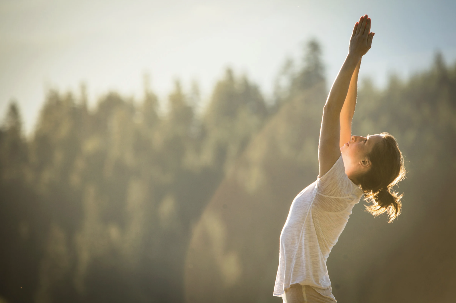 complimentary yoga sessions for guests at station house inn summer things to do lake tahoe