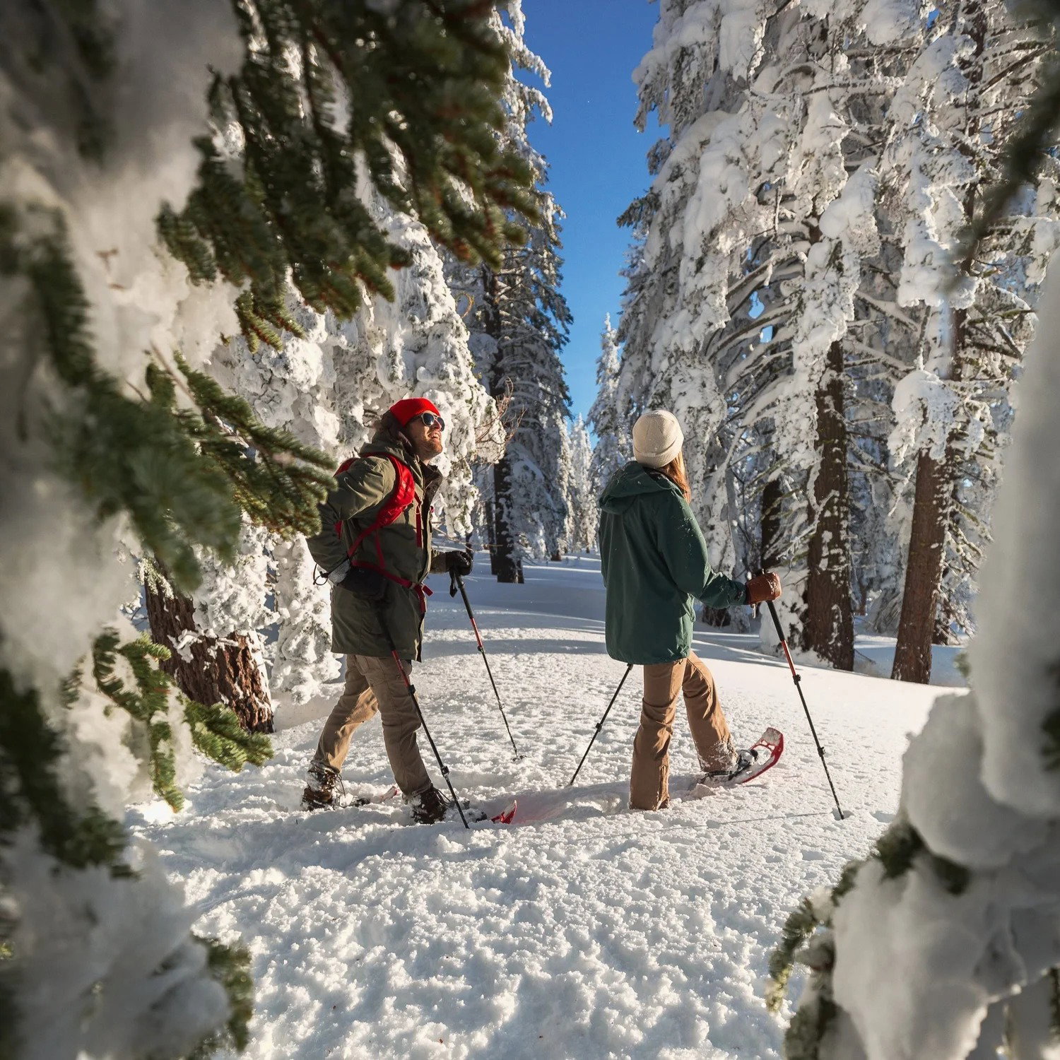 A guided snow tour through the snowy forest near South Lake Tahoe
