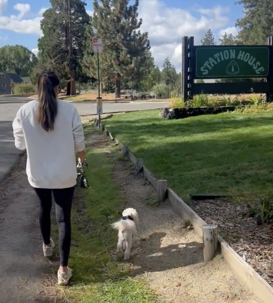 Walking a dog near Station House Inn in South Lake Tahoe